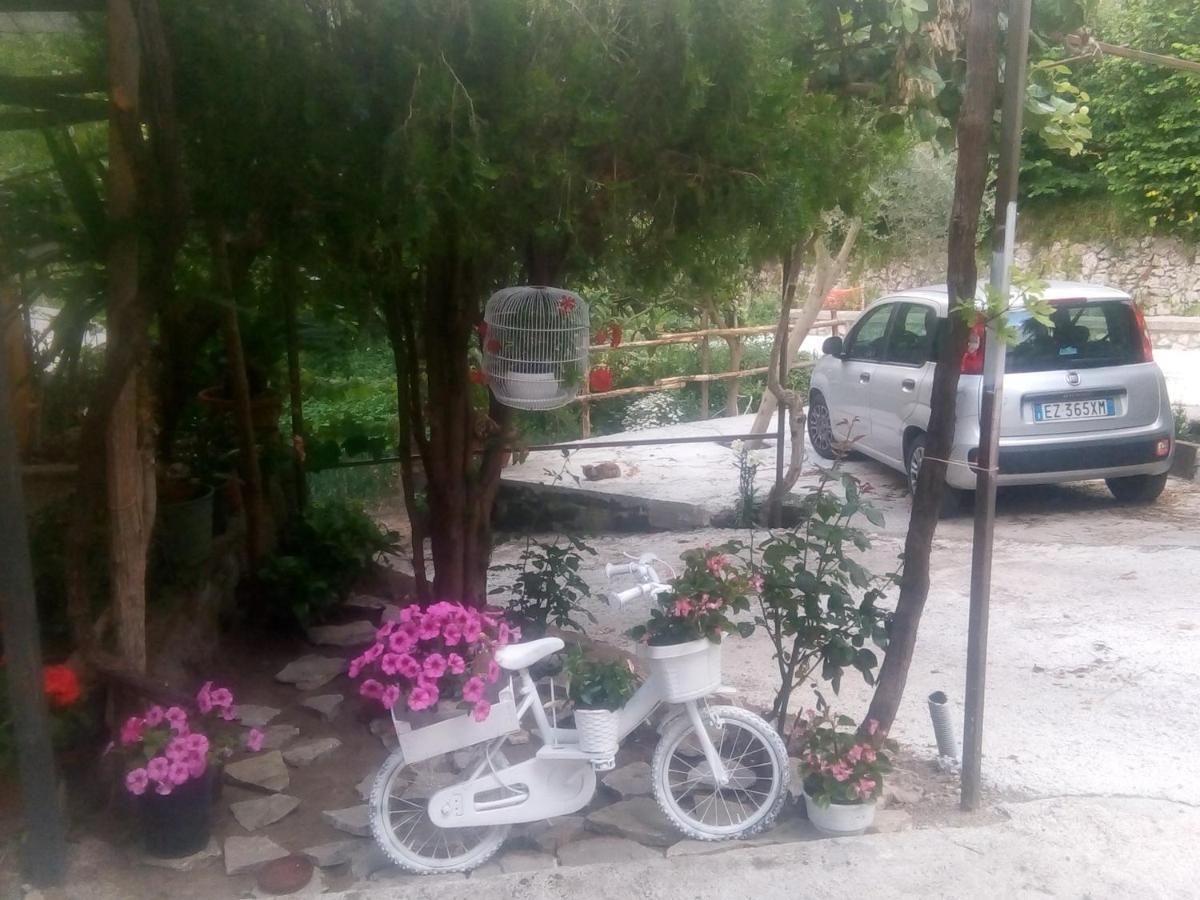 Amaa Casa Bed & Breakfast วีโกเอเกวนเซ ภายนอก รูปภาพ