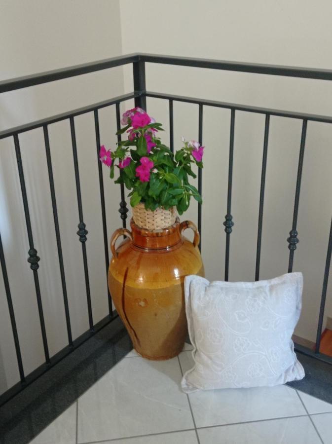 Amaa Casa Bed & Breakfast วีโกเอเกวนเซ ภายนอก รูปภาพ